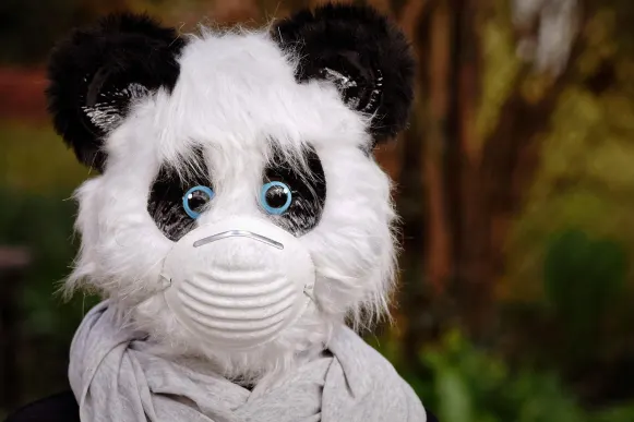 Cazino Cyber Bingo Cazinou Suport